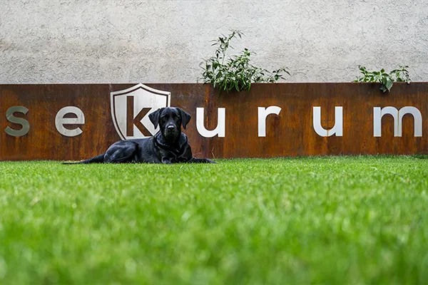 Buddy entspannt im Garten